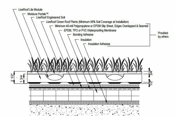 Green Roof Section. Extensive Green Roof. Intensive Green Roof. Roof detail. Green detail