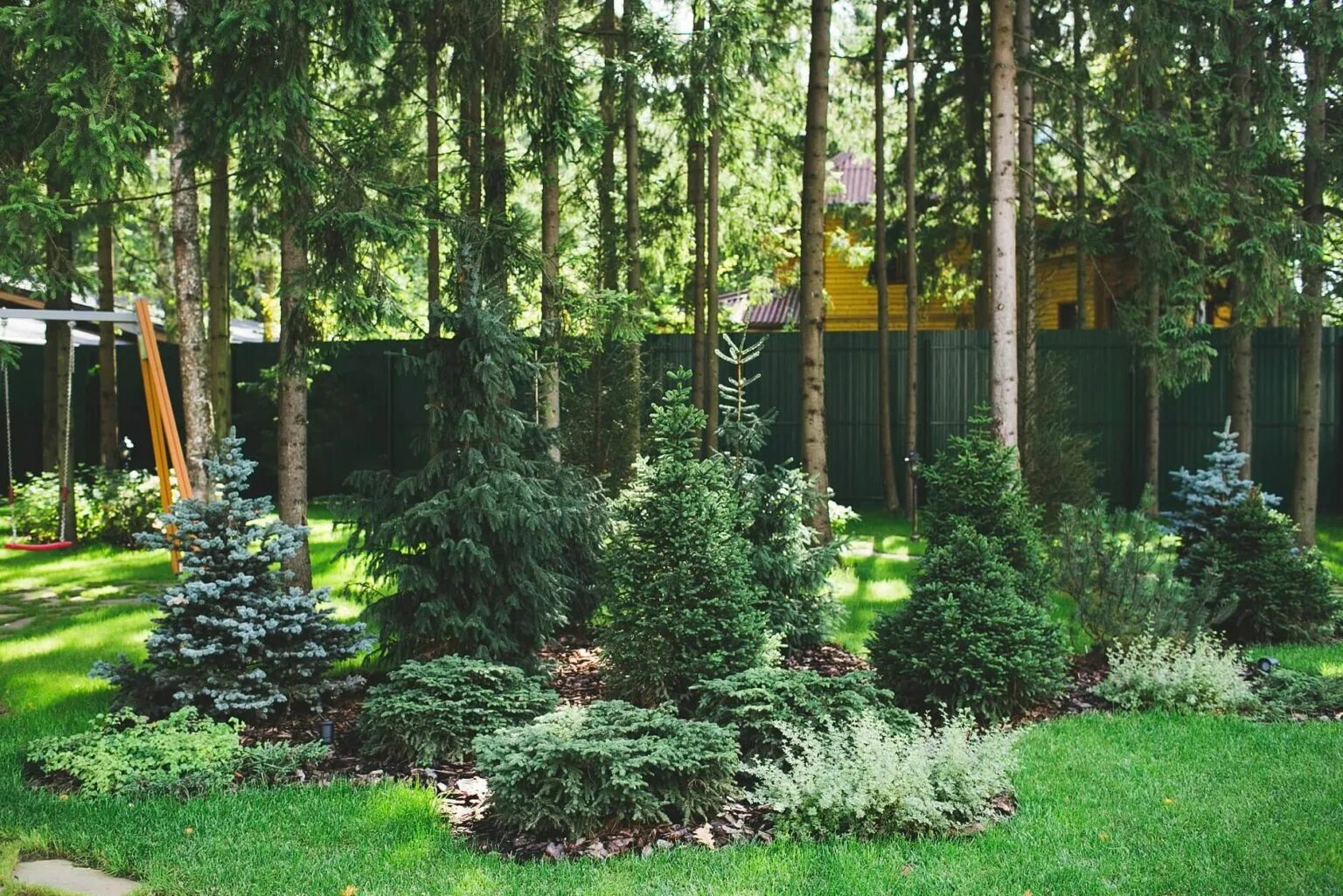 Парк чудо парк одинцово. Участок в лесу. Пермский сад питомник ванюки. Лесной городок сады. Хвойники в лесном ландшафте.
