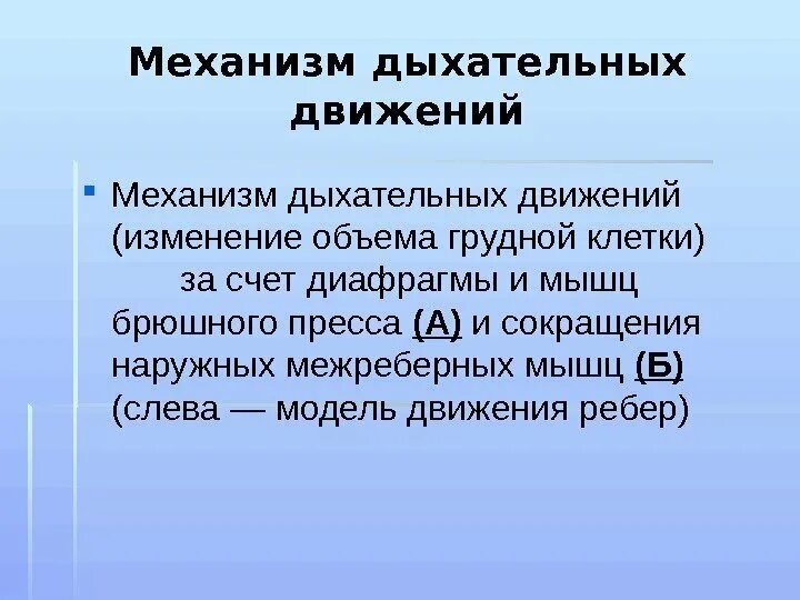 Дыхательные движения. Механизм дыхательных движений. Механизм дыхательных движений грудной клетки.. Механизм дыхательных движений физиология. 2. Механизм дыхательных движений.