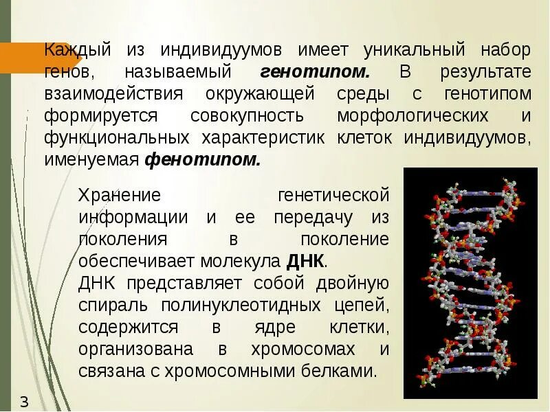 Кто имеет одинаковый набор генов. Уникальный набор генов. Генотип и окружающая среда. Что называют геном. Наследственная информация и передача ее из поколения в поколение.