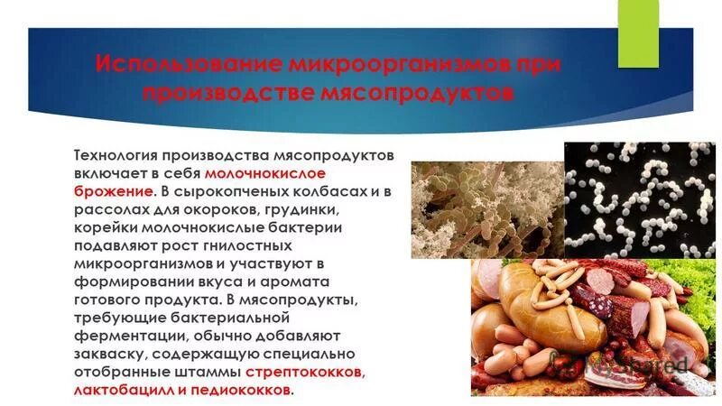 листерия моноцитогенес в мясе. ветеринарно санитарная экспертиза листериоз. микроорганизмы на мяск. микробиология мяса и мясопродуктов. сальмонеллез листериоз.