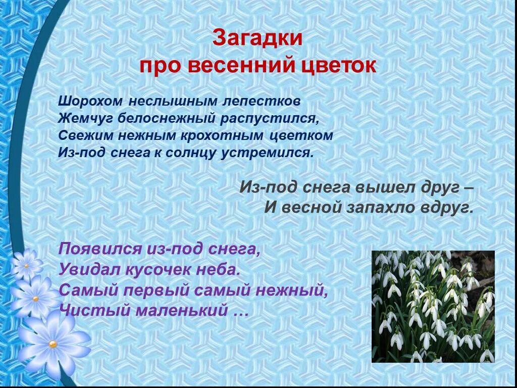 Загадки о весенних цветах. Загадки на тему весенние цветы. Стихи загадки о весенних цветах.. Загадка про Подснежник. Загадка про подснежник 2 класс