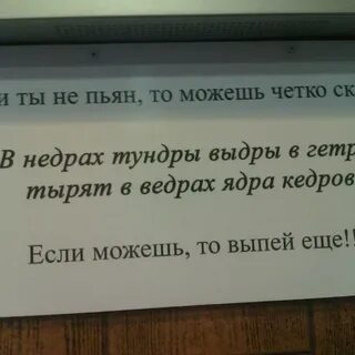 Тырят ядра кедров
