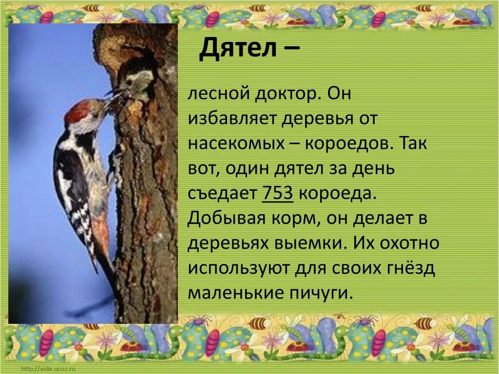 Дятел составить предложение 2 класс