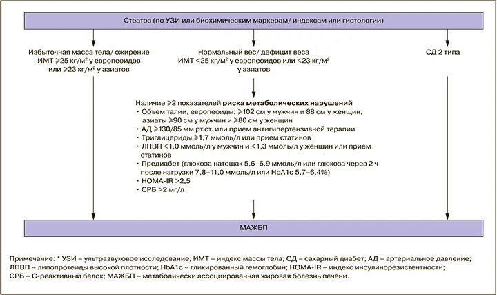 Стеатогепатит код по мкб 10. Стеатогепатит код по мкб 10
