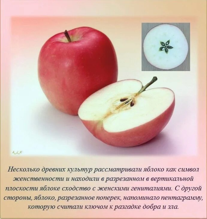 Факты о которых вы не знали. Интересные факты. интересные факты обо всем. интересные и необычные факты. интересные факты в картинках.
