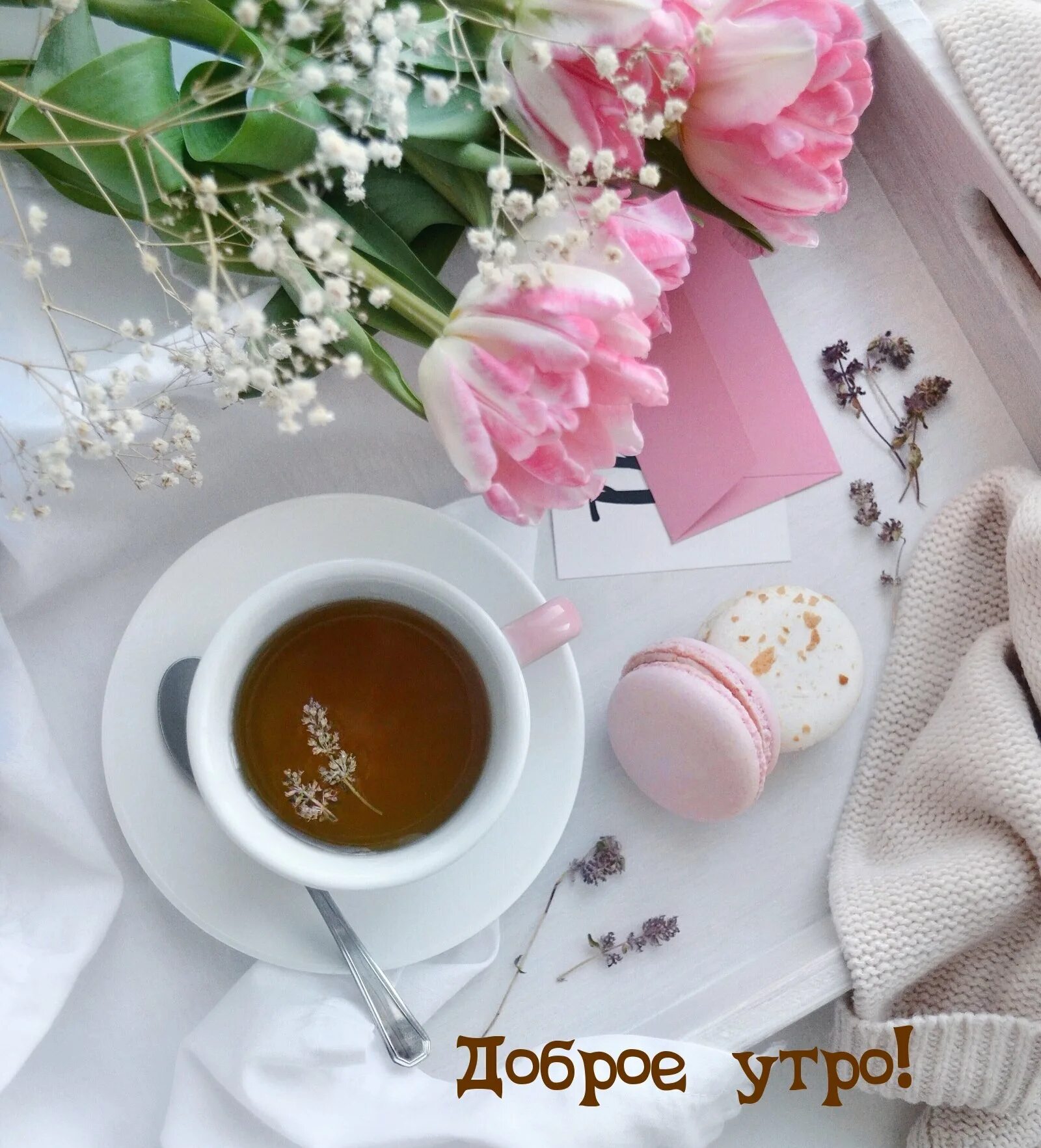 Картинка доброе утро с кофе и цветами. Кофе и цветы. Утренние цветы. Кофе с цветочком. Цветы и кофе с добрым утром.