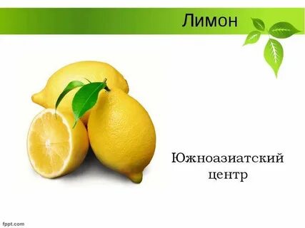 24 лимона