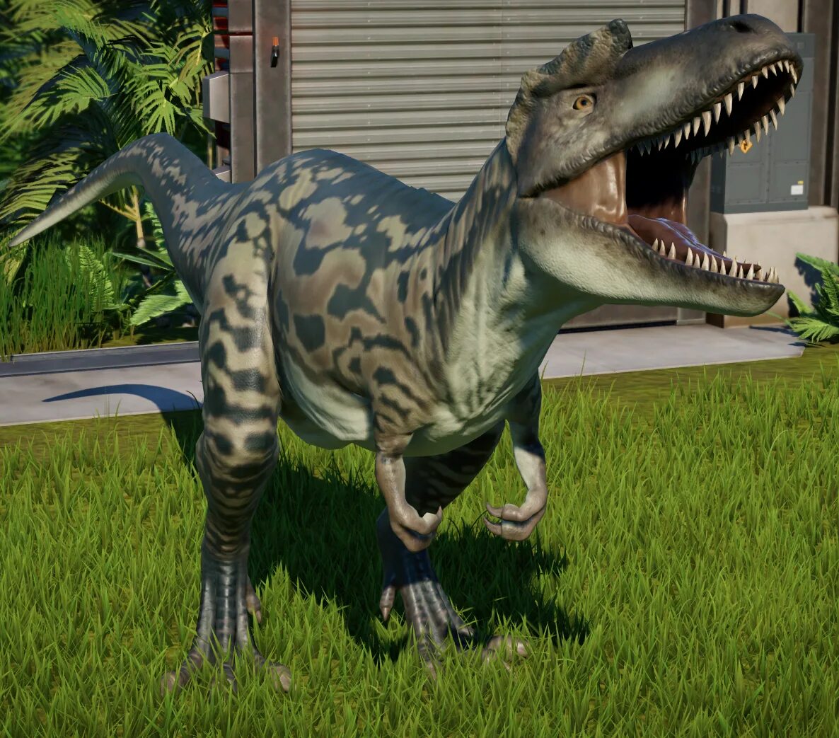 Альбертозавр Jurassic World. Альбертозавр Jurassic World Evolution. Jurassic World Evolution 2 Альбертозавр. Парк динозавров Jurassic World Evolution. Юрский парк динозавров игры