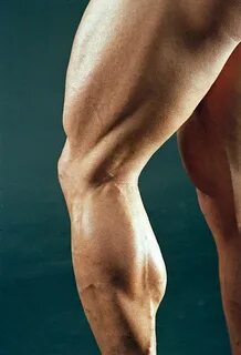 Top legs