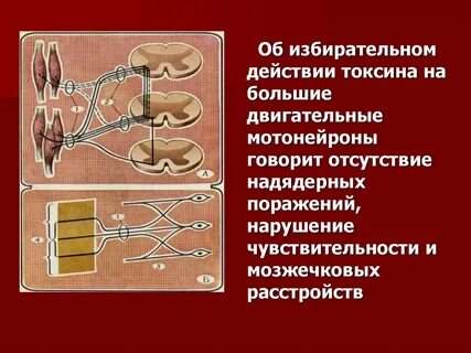 Избирательное воздействие