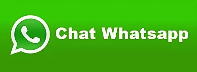 Api whatsapp send phone
