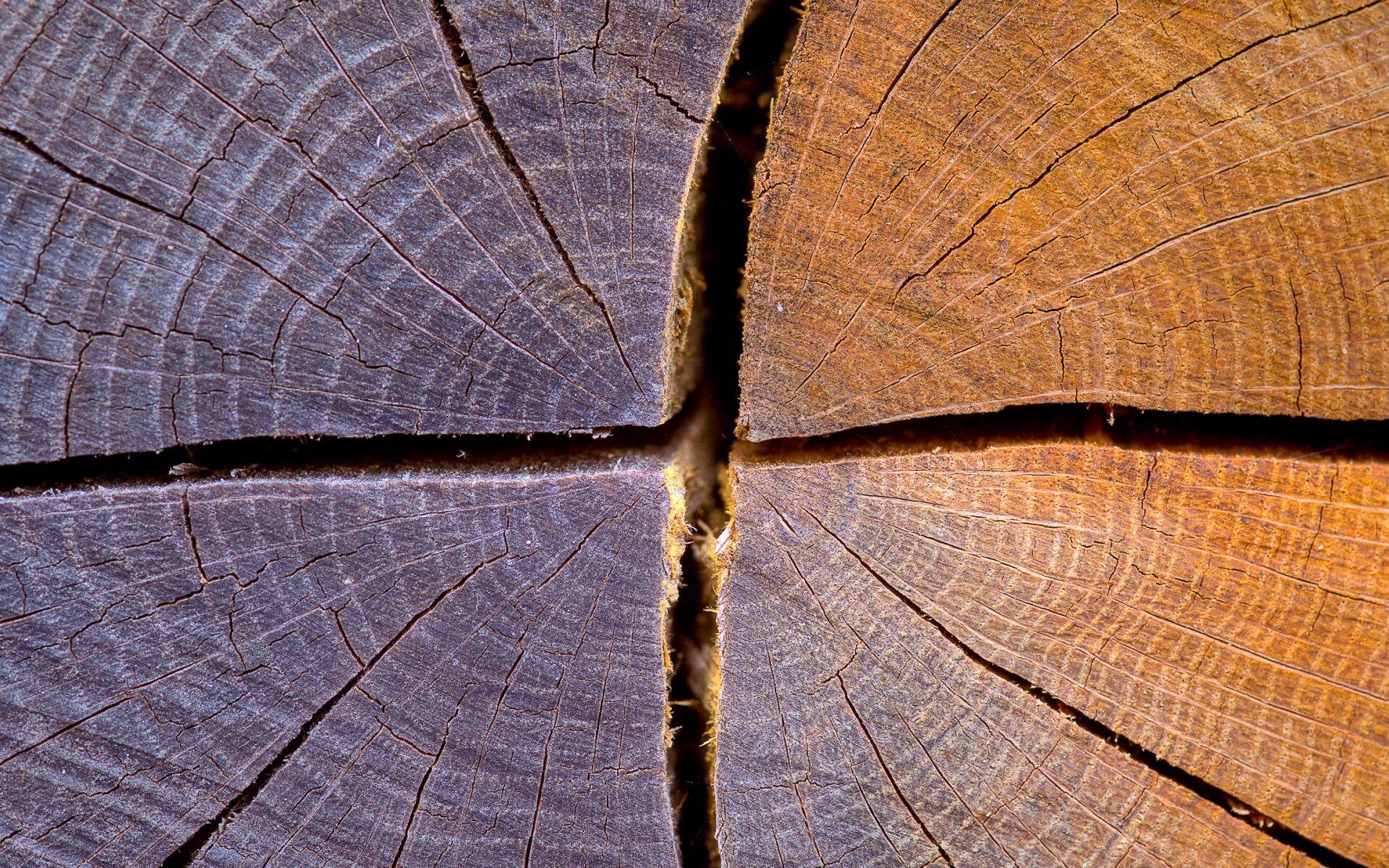 Трещина на дереве. Трещины усушки древесины. Трещина в дереве. Фактура дерева. Текстура древесины.