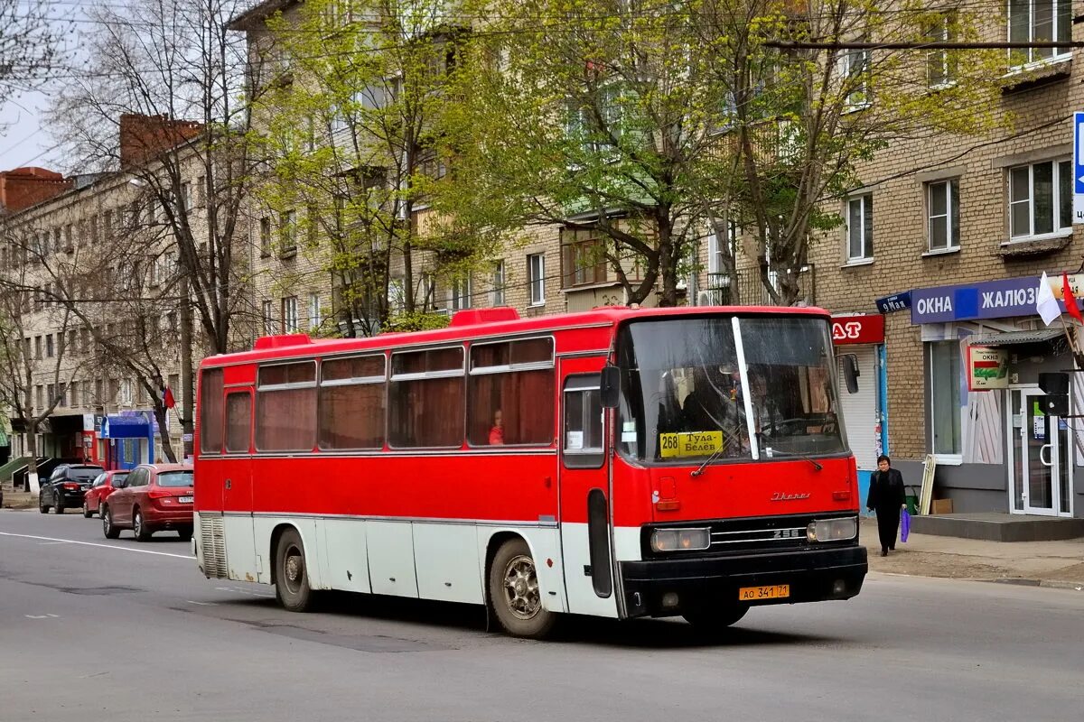 Икарус 256 Тула. Ikarus 256 Тула. Автобус белёв Тула. 256,54 Елец. Тула узловая купить