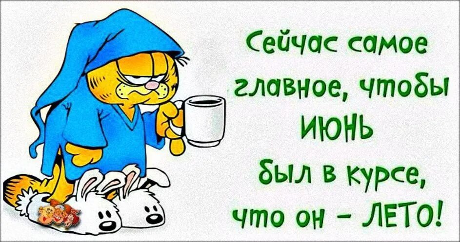 1 июня холодно. Сейчас самое главное чтобы июнь был в курсе что он лето. Анекдоты про июнь. Холодное лето юмор. Лето заблудилось.