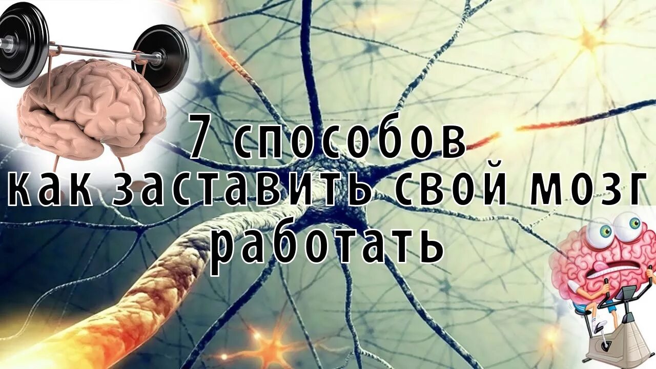 7 способов. Как заставить свой мозг работать. Разбуди свой мозг. Заставь свой мозг работать. Надо заставлять мозг думать.