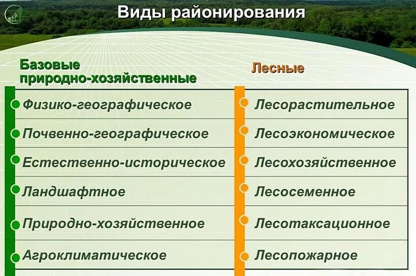 Какие природные свойства отличают одну физико