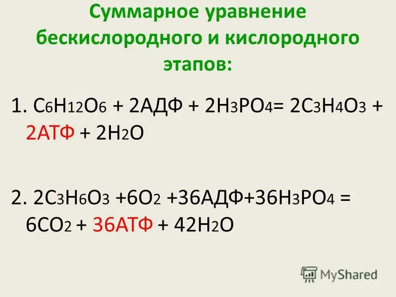 Бескислородный этап расщепления