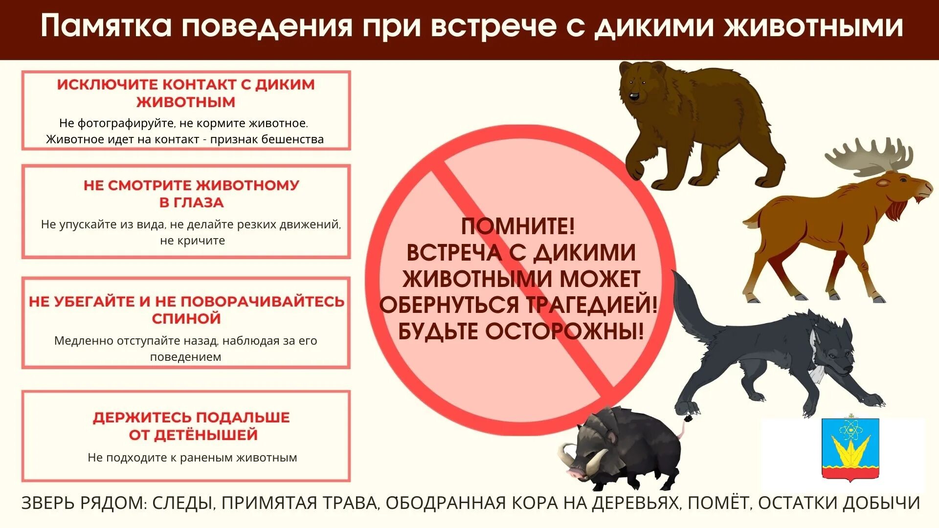 При встрече с дикими животными. Поведение при встрече с дикими животными. Памятка при встрече с дикими животными. Правила поведения при встрече с животными. Обж безопасность при встрече с дикими животными