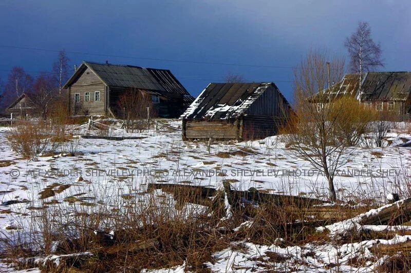 Новгородская обл погода на неделю. Деревня звонец Новгородская область. Любытинский район Новгородской области. Деревня Прощиха Новгородская область. Деревня Заречье Новгородская область Любытинский район.