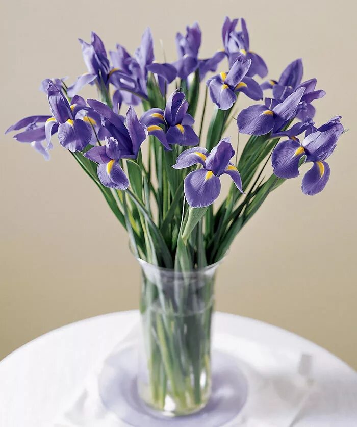 ирис синий срезка. ирисы букет в крафте. как долго стоят ирисы. ирисы в цветочном магазине. ирисы в срезке.