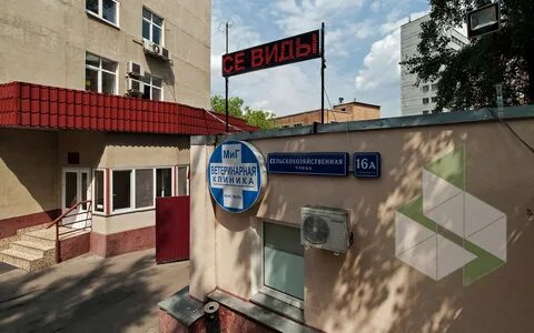Ветеринарная улица