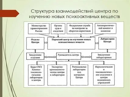 Взаимосвязь структур организма