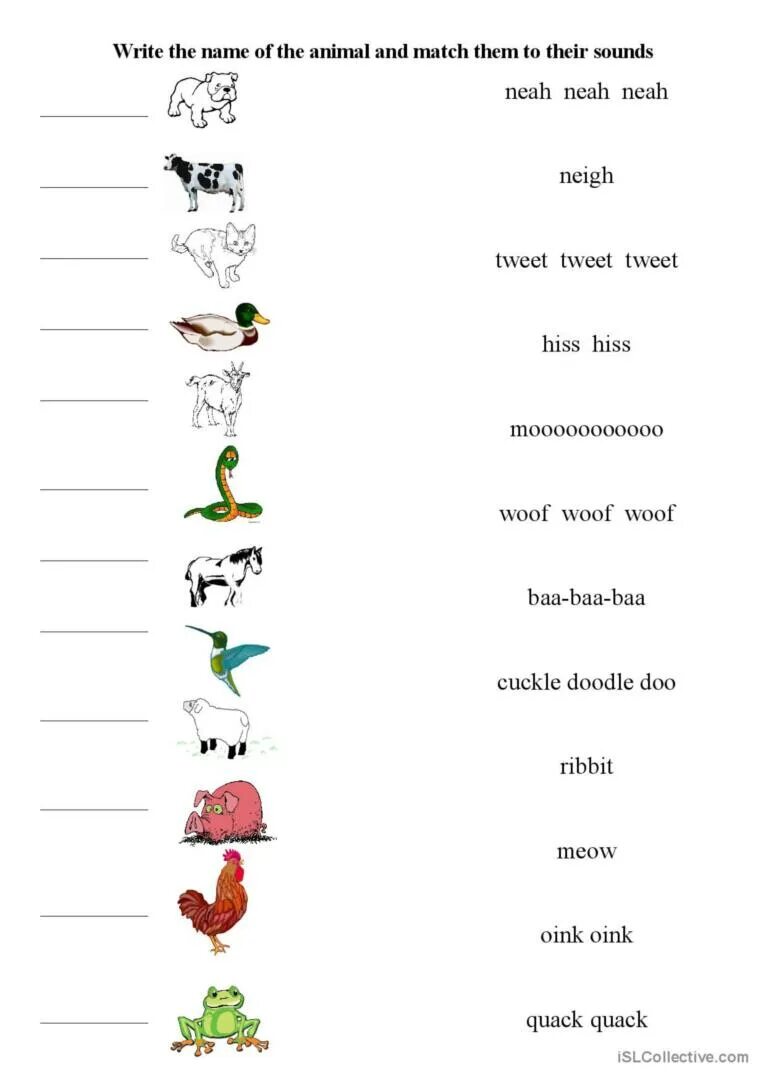 Write the names of the animals. Name animals worksheets. animals and their sounds. animals worksheets for kids.