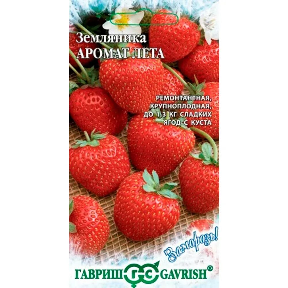 Земляника (клубника) аромат лета, ремонтантная, 4шт, Гавриш, Заморозь!. Семена ягод фирмы Гавриш. Земляника крупноплодная семена.