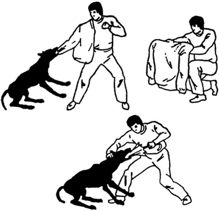Остановить нападение. Защита при нападении собаки. Самооборона от собак. Самооборона при нападении собак. Защитные приемы при нападении.