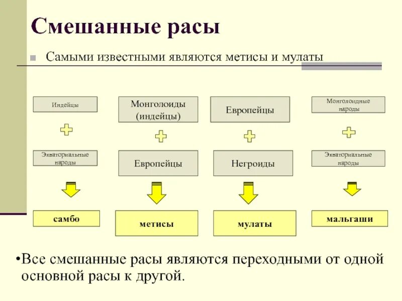 Смешанные расы людей