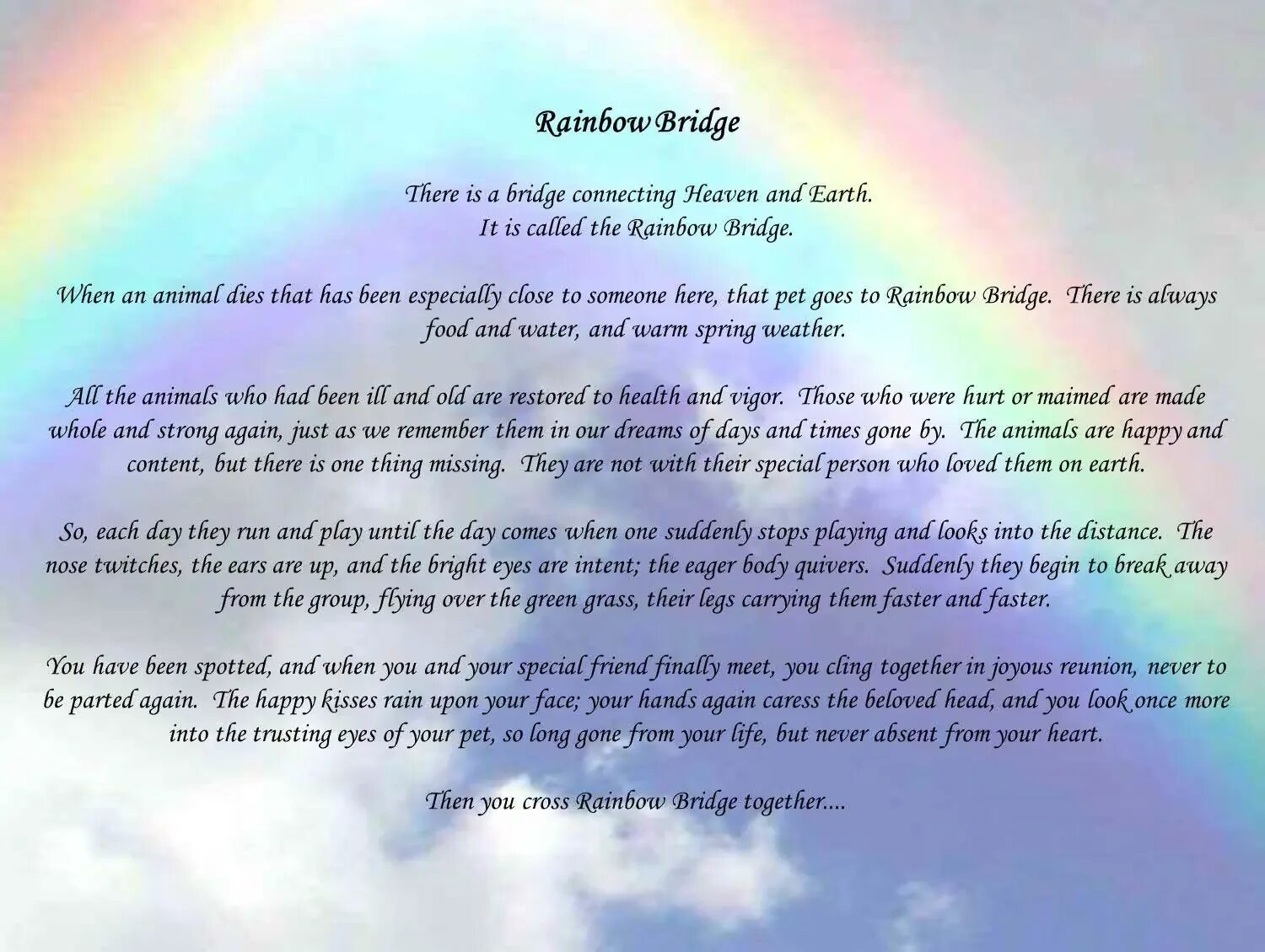 Rainbow petting. Rainbow poem. Rainbow Bridge poem. Rainbow Bridge стих. Rainbow Bridge учебник.