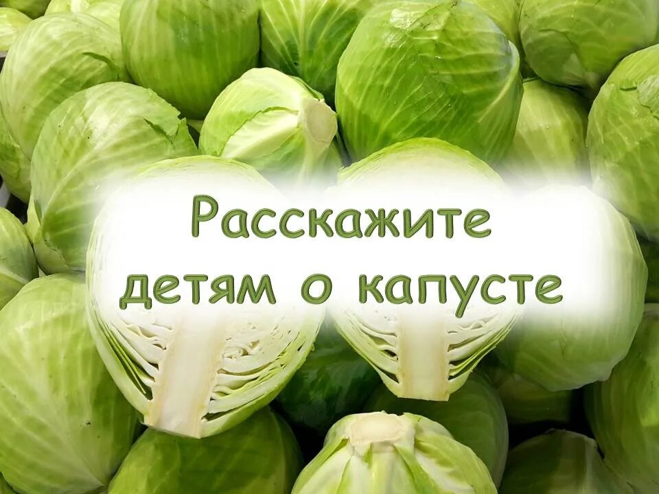 Капустник что это