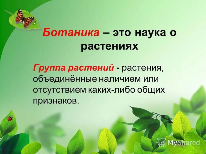 Первые уроки по биологии. Ботаника это наука. Ботаника изучает растения. Ботаника это наука изучающая. Коука орасстения ботаник.