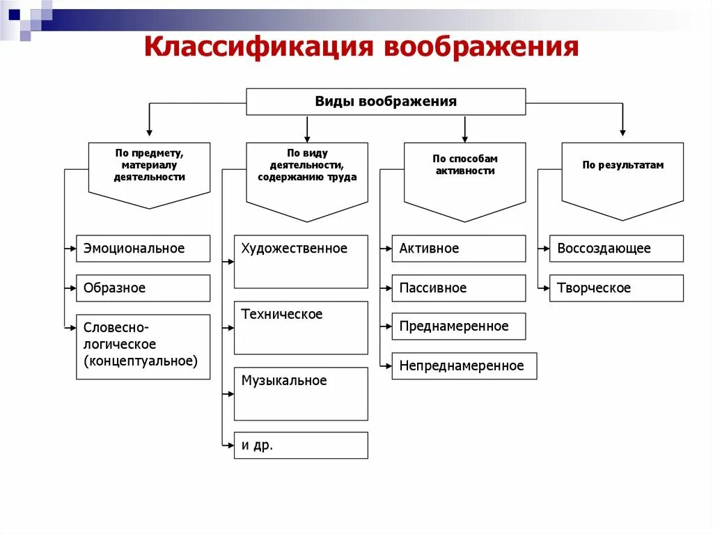 Закономерности воображения. Классификация видов воображения. классификация воображения в психологии. виды и формы воображения в психологии. типы и функции воображения в психологии.