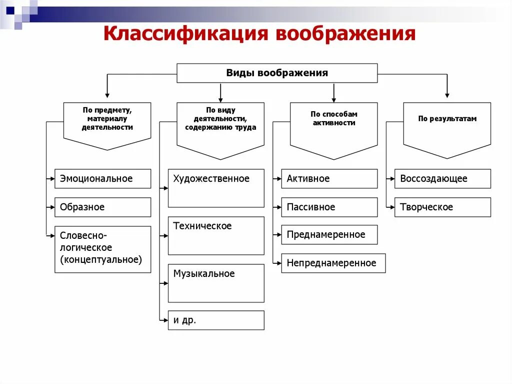 Классификация видов воображения. Типы и функции воображения в психологии. Виды воображения в психологии с примерами. Виды воображения в психологии таблица.