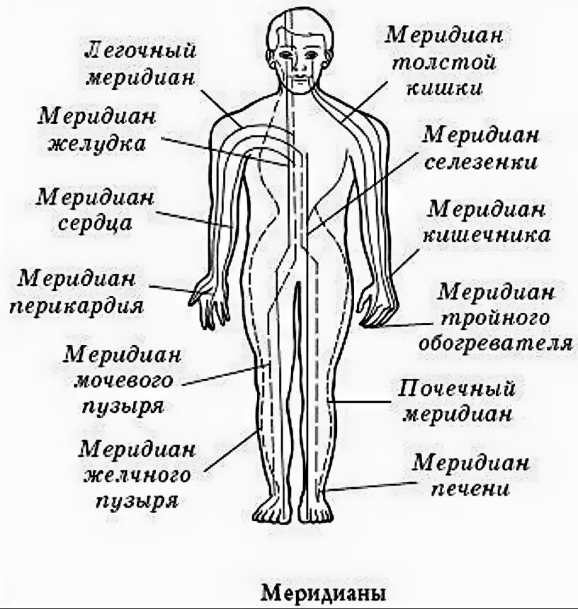 Каналы китайской медицины. 12 Энергетических меридианов человека. Меридиан человека схема энергетических каналов. Энергетические меридианы человека китайская медицина. Энергетические каналы человека (меридианы).