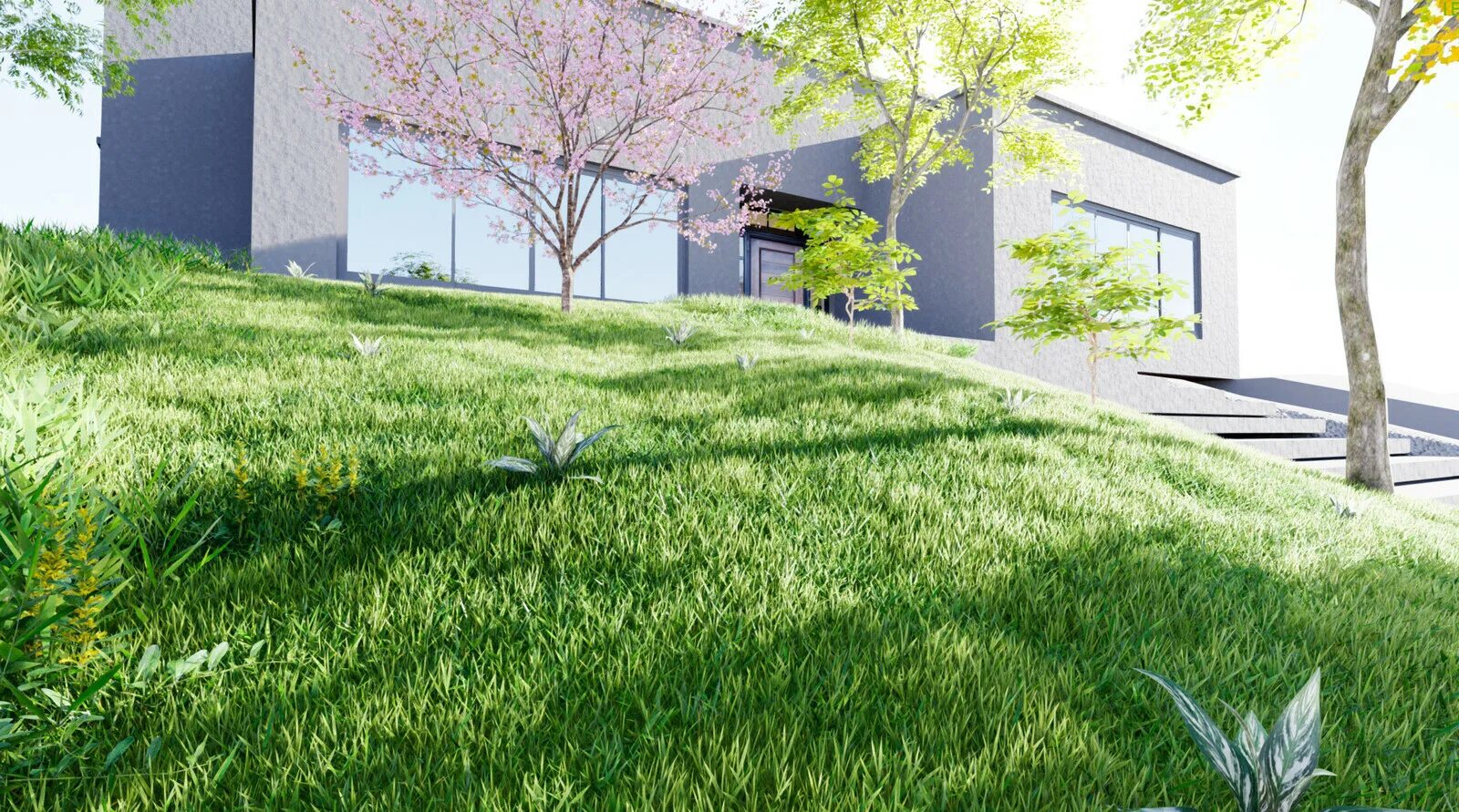D5 render. Д5 рендер. d5 render exterior. d5 renderer. enscape 3ds max.