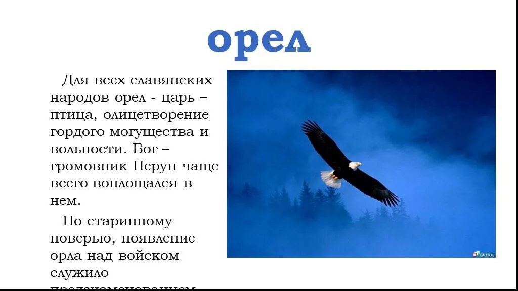 Стих про орла. Орел царь птиц. Орлов стихотворение. Стихи про орла гордого.