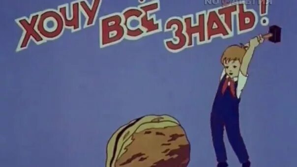 Передача хочешь