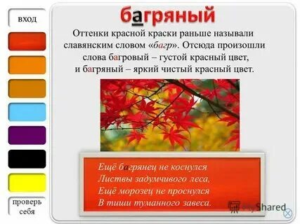 Краткое слово красный