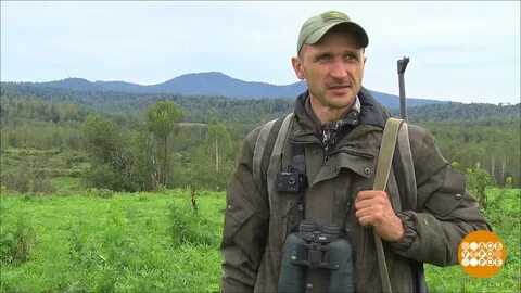 Зарплата лесника