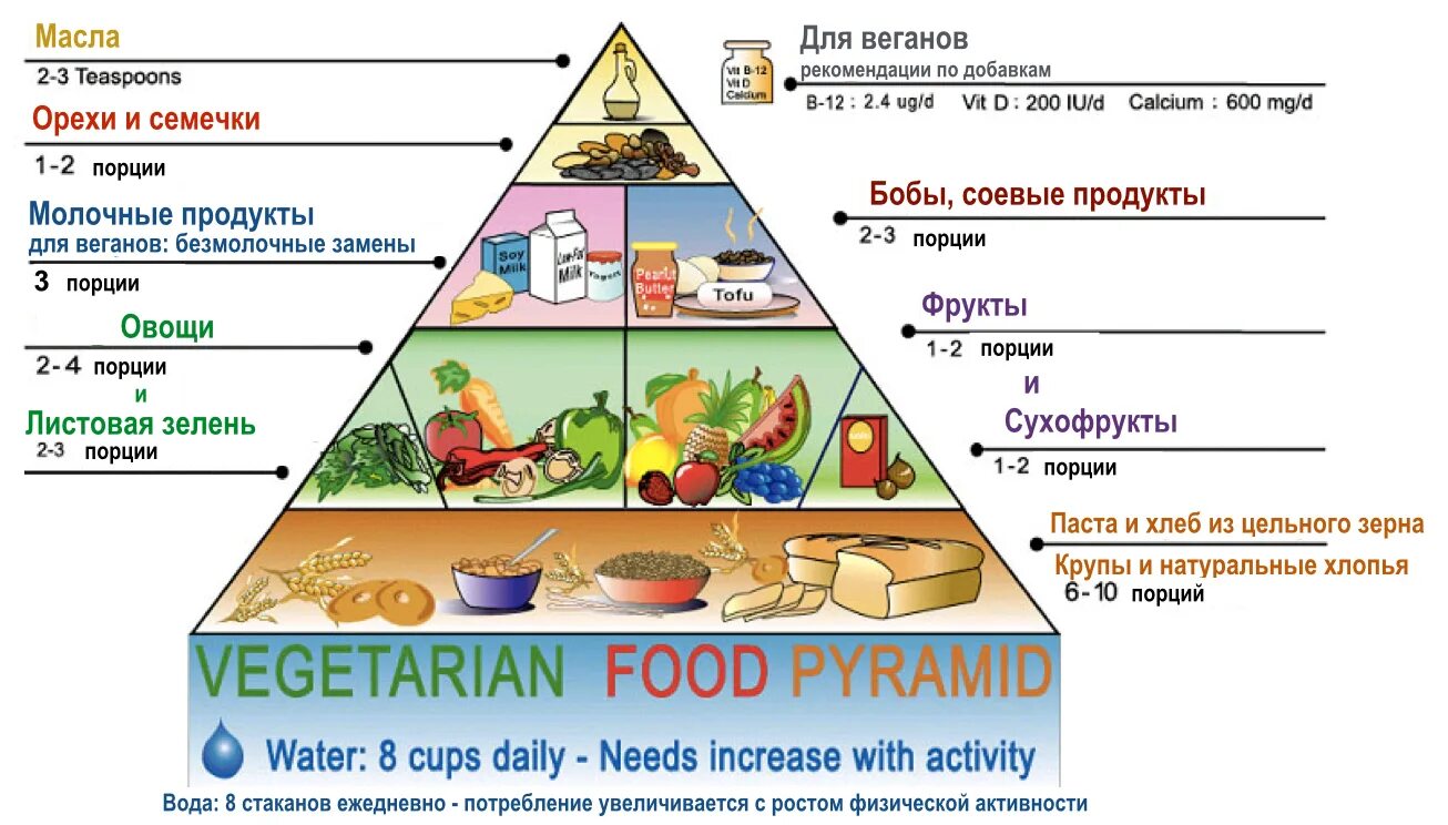 Пищевая пирамида вегана. Пирамида питательных веществ. Пирамида питания вегетарианца. Пирамида сбалансированного питания. Что едят вегетарианцы продукты