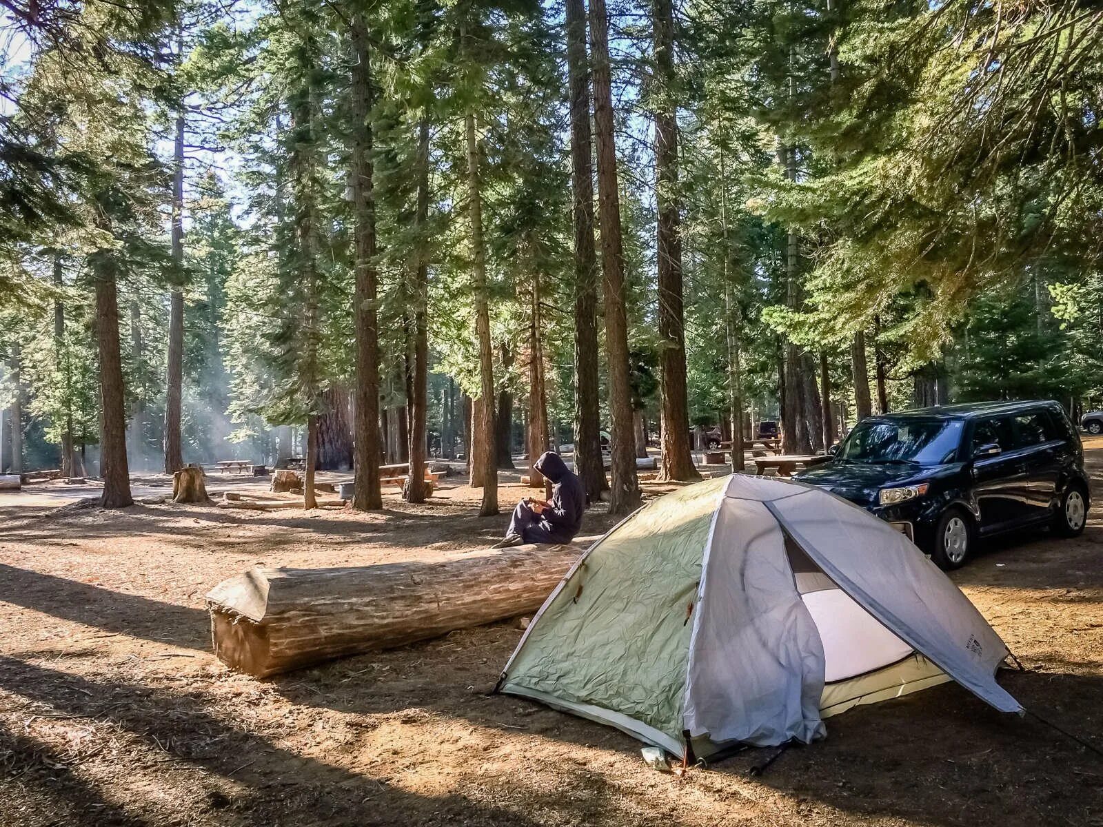 Camping php. Тахо кемпинг. Озеро Tahoe кемпинг. Автокемпинг Сосновая роща. Озеро Рица палаточный лагерь.