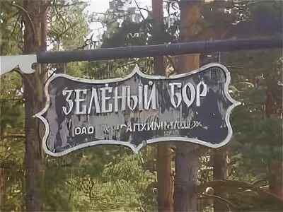 Зеленый бор часы работы. Дол зеленый бор сысерть. зеленый бор пионерский лагерь сысерть. лагерь зеленый бор сысерть уралхиммаш.