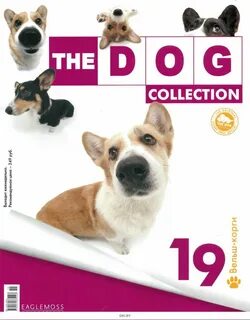 Купить The DOG Collection 19 / 2017 в Минске в Беларуси в интернет-магазине OKi.