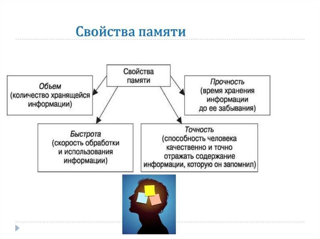 Память виды и свойства в психологии. Свойства памяти в психологии с примерами. Свойства памяти человека. Память понятие виды свойства. Дайте определения понятий память