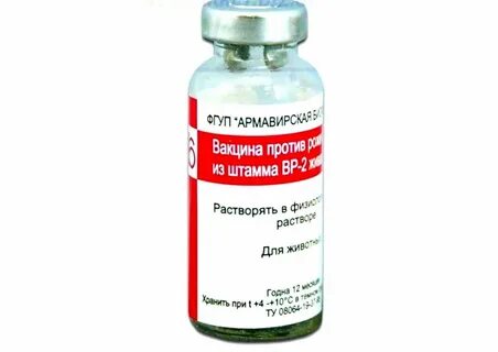 Вакцина рожи инструкция