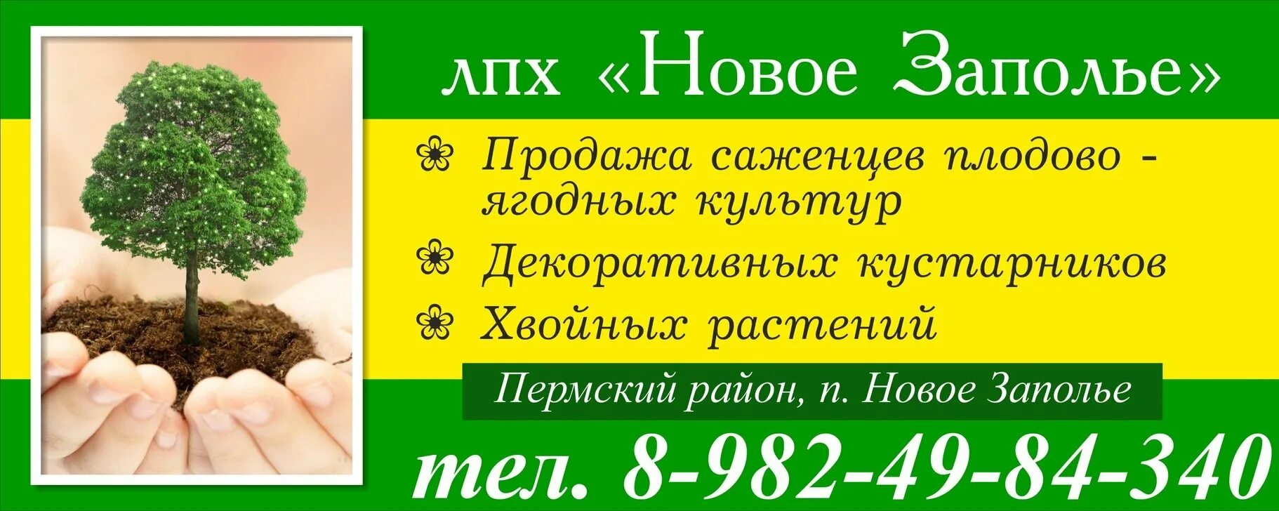 Пятиугольная карта с цветами. Невьянск питомник растений ленина 104. Березовский питомник растений на карте. Тепличное хозяйство город невьянск. Невьянск питомник растений ленина 104.