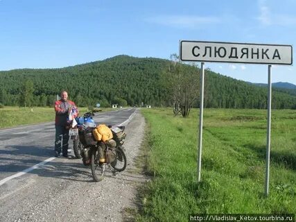Дорожник слюдянка